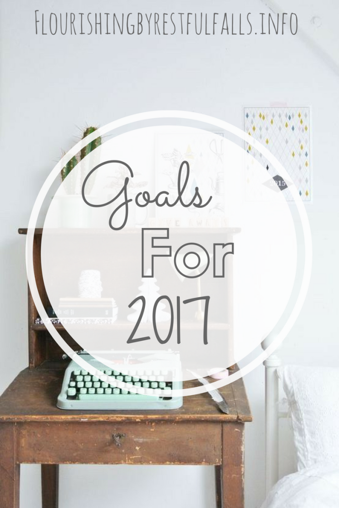 goals for 2017